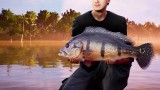 Joc Fishing Sim World 2020 Pro Tour Collectors Edition pentru PC