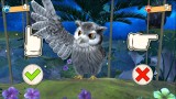 Joc Fun! Fun! Animal Park Code In Box pentru Nintendo Switch