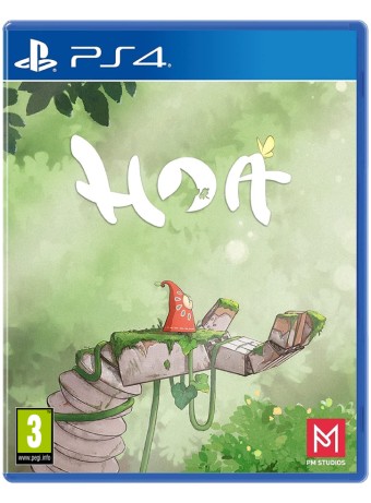 Joc Hoa pentru PS4