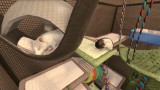 Joc House Flipper Pets Edition pentru PS4