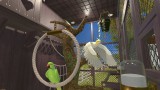 Joc House Flipper Pets Edition pentru PS4