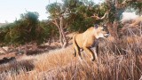 Joc Hunting Simulator pentru Nintendo Switch