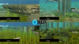Joc Legendary Fishing Code In Box pentru Nintendo Switch