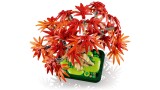 Joc Lego Botanicals Japanese Red Maple Bonsai Tree (10348)
