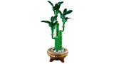 Joc Lego Botanicals Lucky Bamboo (10344)