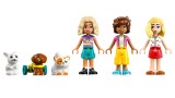 Joc Lego Friends Pet Accessories Shop (42650)