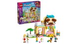 Joc Lego Friends Pet Accessories Shop (42650)