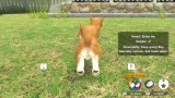 Joc Little Friends Dogs Cats pentru Nintendo Switch