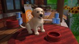 Joc Little Friends Puppy Island pentru Nintendo Switch