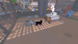 Joc Little Kitty Big City pentru Nintendo Switch