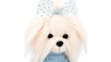 Papusa Lucky Doggy Winter Mood Clothing