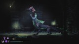 Joc Mandragora Whispers Of The Witch Tree Collectors Edition pentru Nintendo Switch