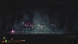 Joc Mandragora Whispers Of The Witch Tree Collectors Edition pentru Nintendo Switch