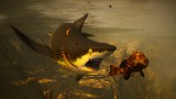 Joc Maneater Day One Edition pentru Xbox One