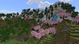 Joc Minecraft Starter Pack pentru PS4