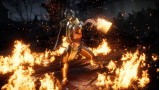 Joc Mortal Kombat 11 pentru Nintendo Switch