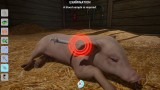 Joc My Life Farm Vet pentru Nintendo Switch