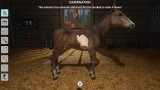 Joc My Life Farm Vet pentru Nintendo Switch