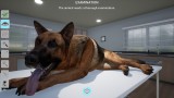 Joc My Life Pet Vet pentru Nintendo Switch