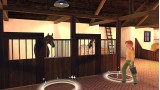 Joc My Riding Stables 2 A New Adventure pentru Nintendo Switch
