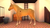 Joc My Riding Stables 2 A New Adventure pentru PS4
