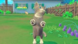 Joc My Universe Pet Edition Puppies & Kittens + Pet Clinic Cats & Dogs + Carcasa pentru pentru Nintendo Switch