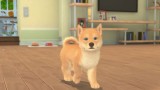 Joc My Universe Puppies And Kittens pentru Nintendo Switch