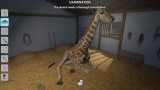 Joc My Vet Practice In The Zoo pentru Nintendo Switch