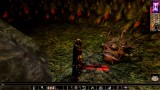 Joc Neverwinter Nights Enhanced Edition pentru PS4