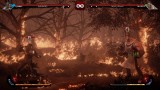 Joc Omen Of Sorrow pentru PS4
