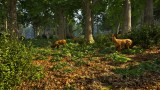 Joc Park Ranger Simulator pentru PS5