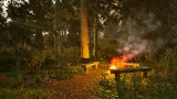 Joc Park Ranger Simulator pentru PS5