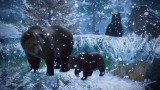 Joc Planet Zoo Console Edition pentru PS5