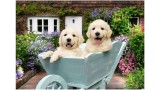  Ravensburger Golden Retriever 200pcs Ad (12001368)