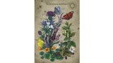  Ravensburger Lifecircle Butterfly 1000pcs (12001435)