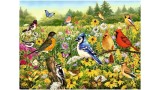 Ravensburger Puzzle Birds In The Meadow 500p (12000336)