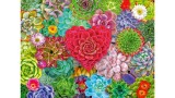  Ravensburger Succulent Love 500pcs (12001469)