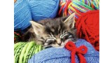  Ravensburger Wool Cat (12001363)
