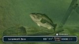 Joc Reel Fishing Anglers Dream pentru Nintendo Wii