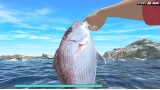 Joc Reel Fishing Road Trip Adventure pentru PS4