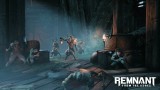 Joc Remnant From The Ashes pentru Nintendo Switch