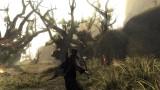 Joc Risen pentru Nintendo Switch