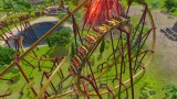 Joc Rollercoaster Tycoon Joyride pentru PS4 / PS VR