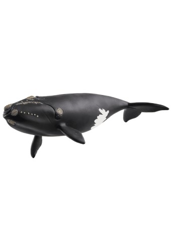 Figurina Joc Schleich North Atlantic Right Whale 14878