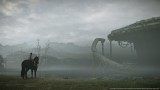 Joc Shadow Of The Colossus pentru PS4