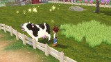 Joc Story Of Seasons A Wonderful Life Limited Edition pentru PS5