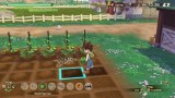 Joc Story Of Seasons A Wonderful Life Limited Edition pentru PS5