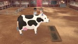 Joc Story Of Seasons A Wonderful Life Limited Edition pentru PS5