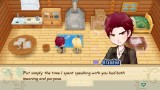 Joc Story Of Seasons Friends Of Mineral Town pentru PS4