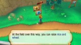 Joc Story Of Seasons pentru Nintendo 3DS